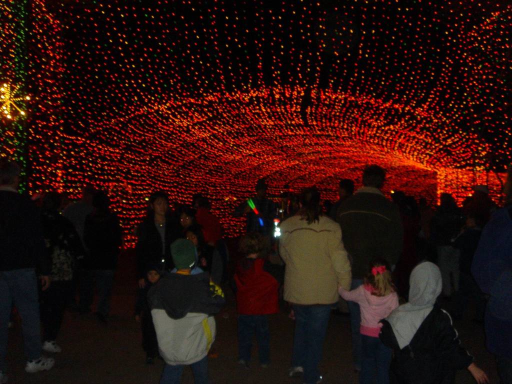 2005/12(Dec)/01(Christmas-Lights)/02(AustinTrail Lights)/1024x768_2005-12-22-20.JPG